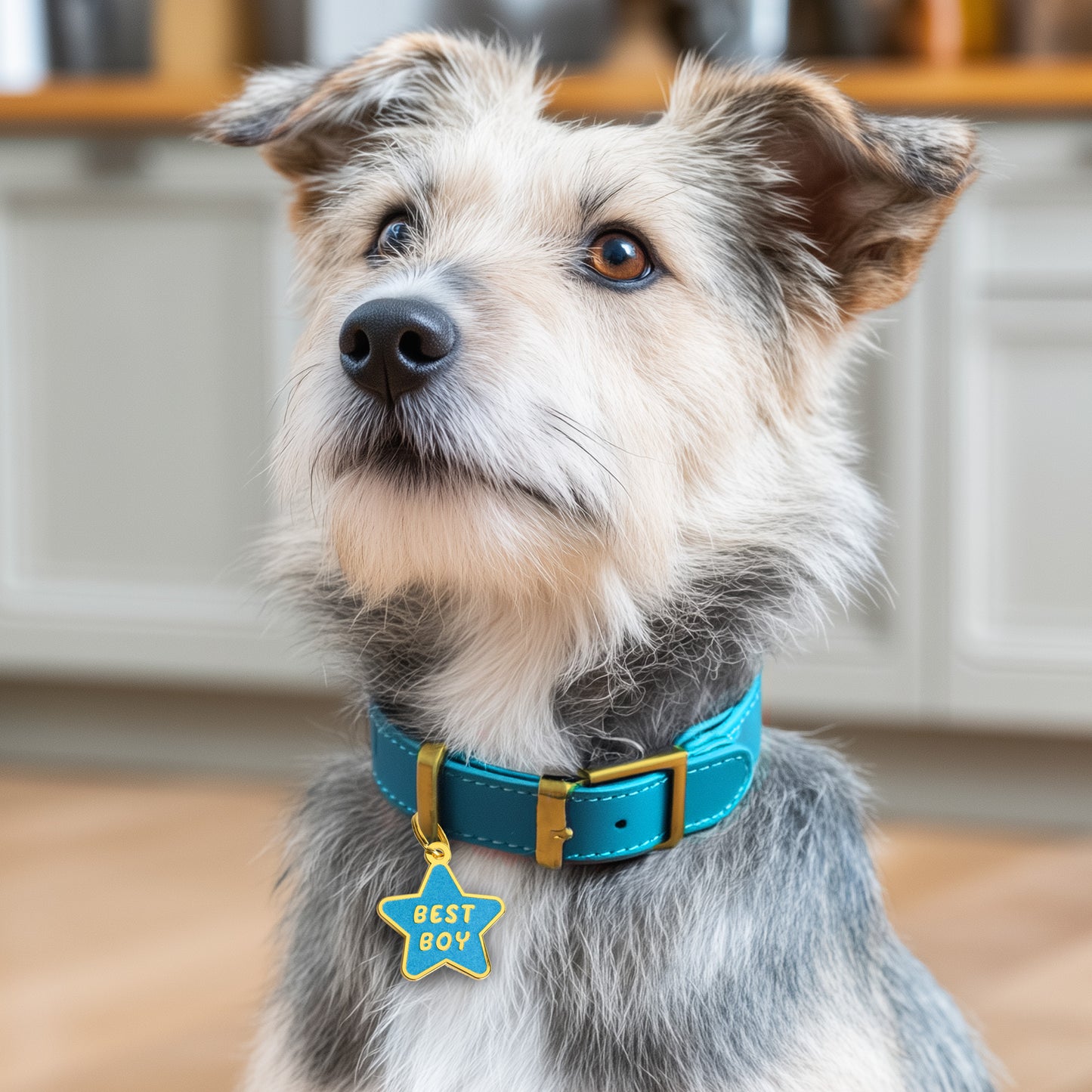 Best Boy Dog Tag - Custom Enamel Pet ID Tag