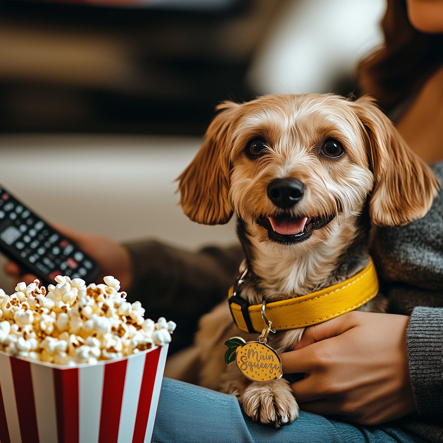 Main Squeeze Dog Tag - Custom Enamel Pet ID Tag