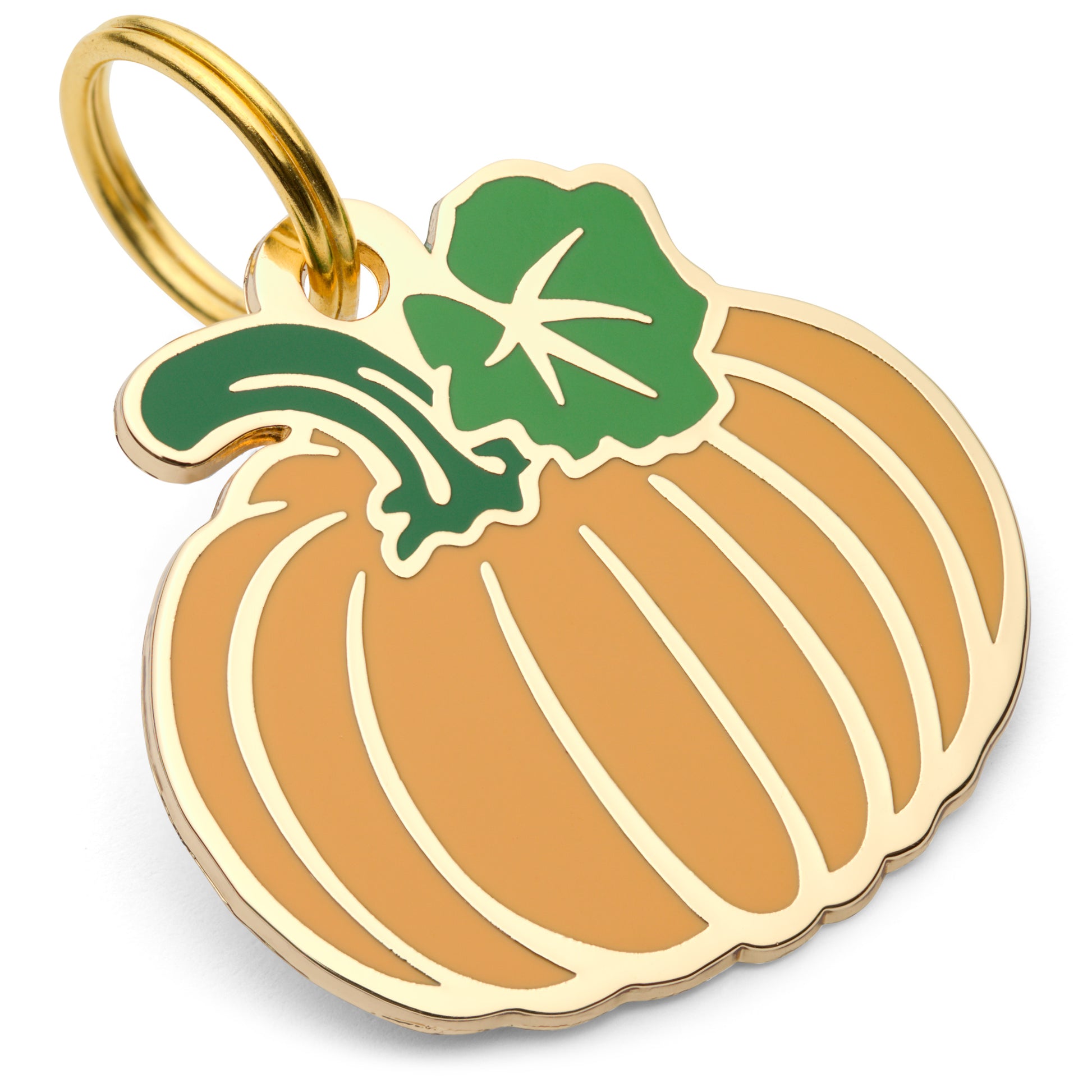Pumpkin Enamel Dog Tag - Custom Enamel Pet ID Tag